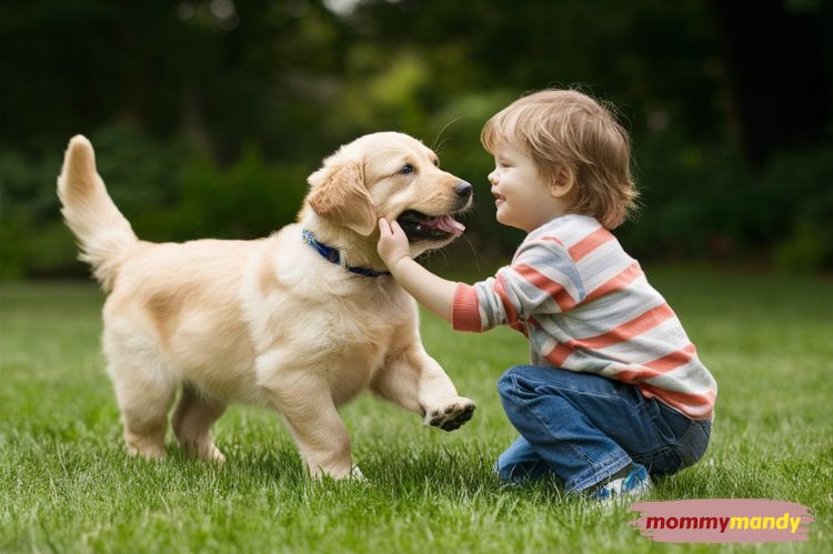 an image of a Golden Retriever puppy playing with a child